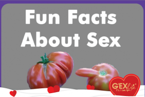 5 funfact về SEX - Sex is good but sex facts are better!